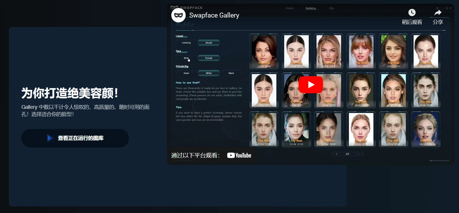 Swapface人脸交换