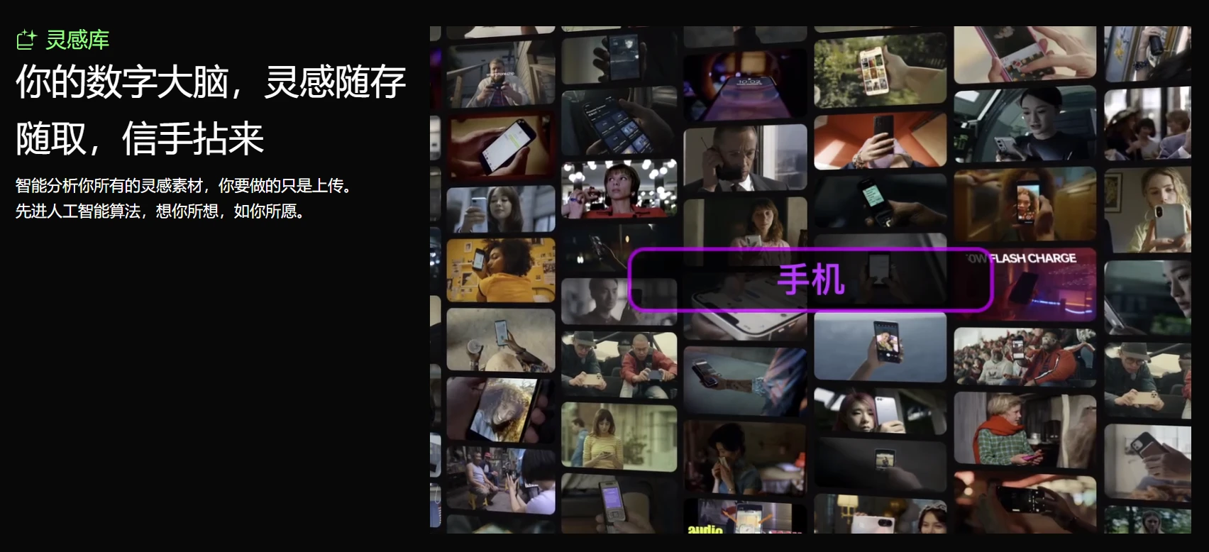 知作