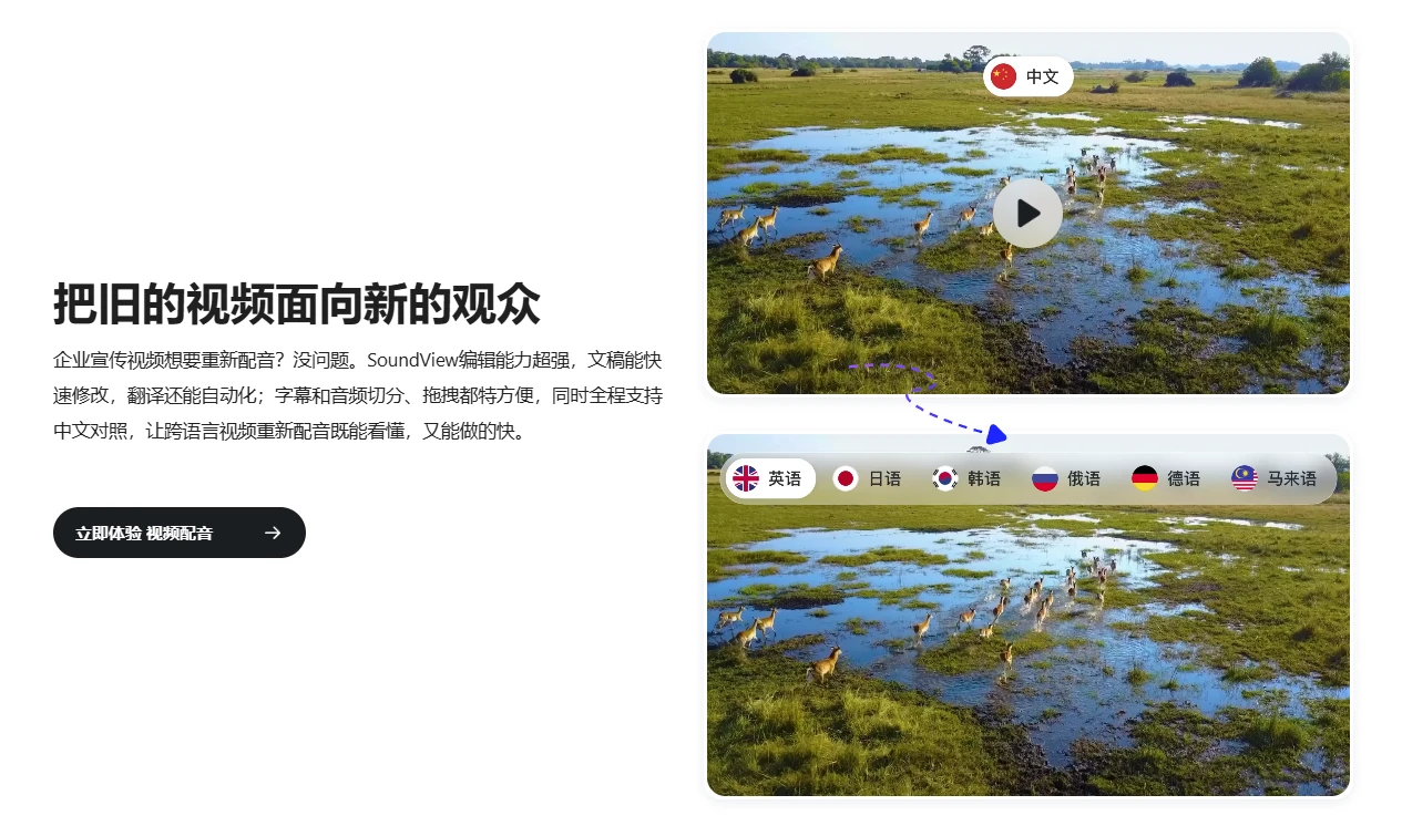 SoundView声动视界 SoundView声动视界
