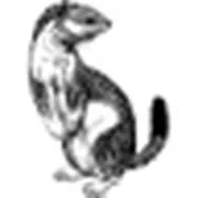 Ermine