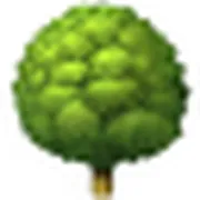 森林电台