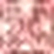 site-20800