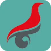 学历真伪查询