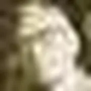 site-23188