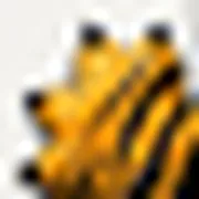老虎游戏