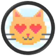 Meow.TG