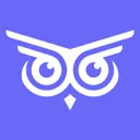 Brandwise AI-cover