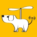Flying Dog-cover