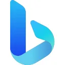 Microsoft Bing-cover