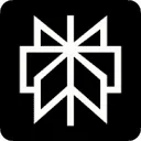 Perplexity AI-cover