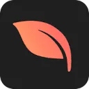 Peach-cover