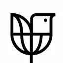 bpando-cover