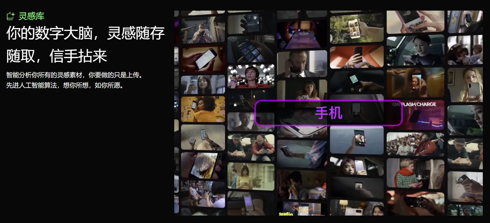 知作-cover