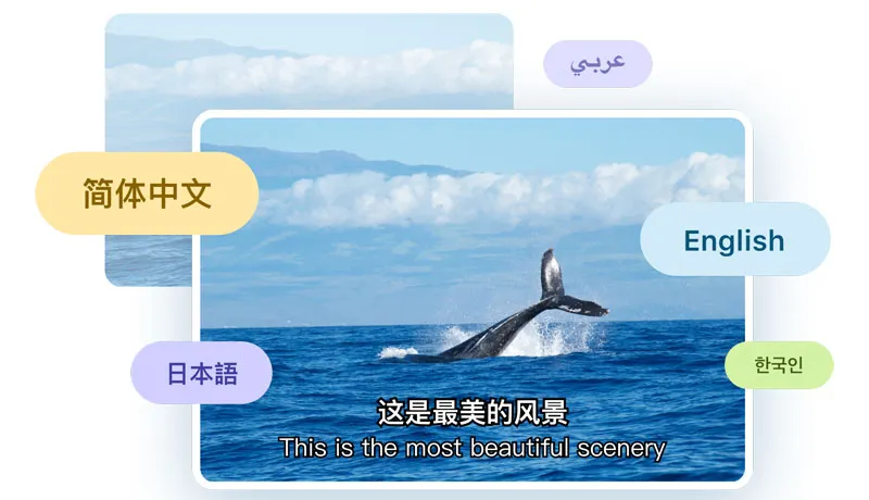 快转字幕-cover